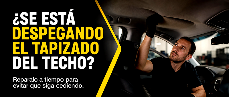 Consejo sobre tapizado del techo despegado